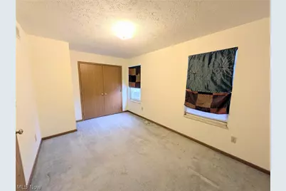 3093 Otokar Avenue, Loveland, OH 44127 - Photo 34
