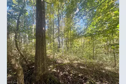 Buttermilk Hill Rd NW, McConnelsville, OH 43756 - Photo 18