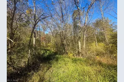 Buttermilk Hill Rd NW, McConnelsville, OH 43756 - Photo 8