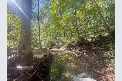 Buttermilk Hill Rd NW, McConnelsville, OH 43756 - Photo 22