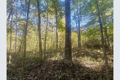 Buttermilk Hill Rd NW, McConnelsville, OH 43756 - Photo 26
