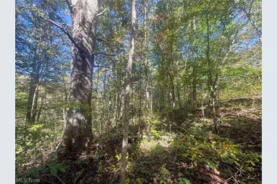 Buttermilk Hill Rd NW, McConnelsville, OH 43756 - Photo 30