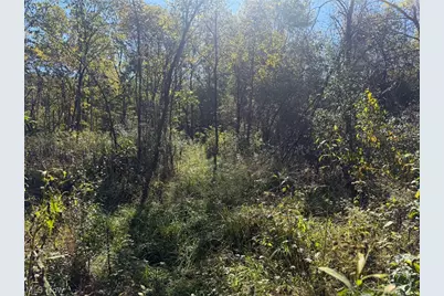 Buttermilk Hill Rd NW, McConnelsville, OH 43756 - Photo 12