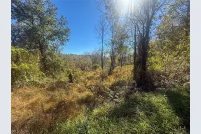 Buttermilk Hill Rd NW, McConnelsville, OH 43756 - Photo 46