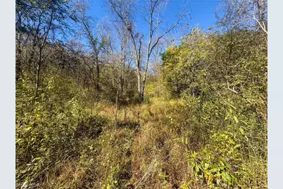 Buttermilk Hill Rd NW, McConnelsville, OH 43756 - Photo 44