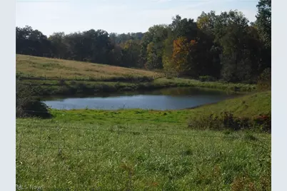 17871 County Road 436, Dresden, OH 43821 - Photo 8