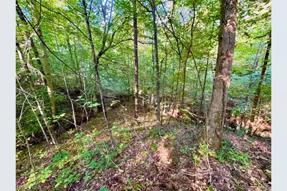 Virginia Ridge Road, Philo, OH 43771 - Photo 40