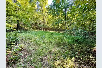 Virginia Ridge Road, Philo, OH 43771 - Photo 46