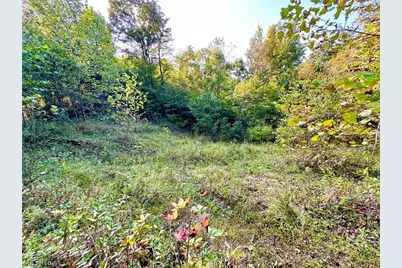 Virginia Ridge Road, Philo, OH 43771 - Photo 48