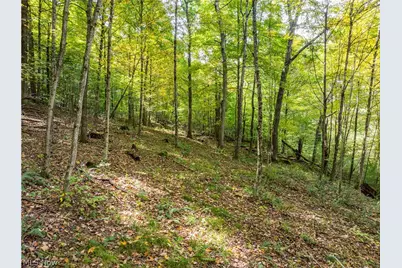5871 State Rt 204, Mount Perry, OH 43760 - Photo 8