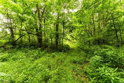 Long Road, Chandlersville, OH 43727 - Photo 16