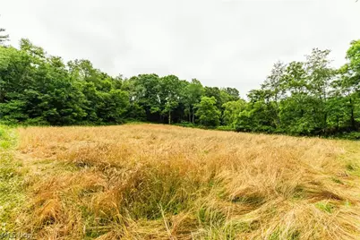 Long Road, Chandlersville, OH 43727 - Photo 1
