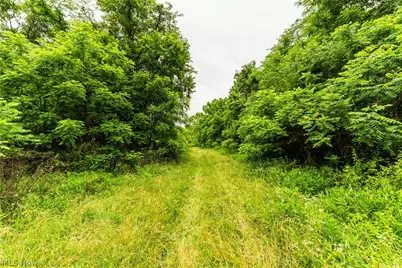 Long Road, Chandlersville, OH 43727 - Photo 12