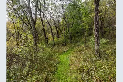 State Rt 204, Mount Perry, OH 43760 - Photo 8
