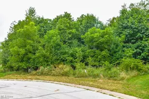 Rowland Ave NE, Canton, OH 44714 - Photo 1