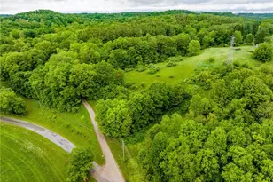 2461 Peters Creek Rd, Cambridge, OH 43725 - Photo 1