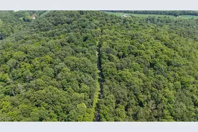 Hunter Road, Danville, OH 43014 - Photo 1