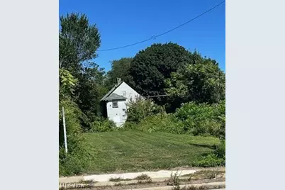 7305 Montgomery Avenue, Loveland, OH 44104 - Photo 1