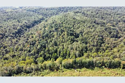 Beech Fork Road, Peebles, OH 45660 - Photo 1