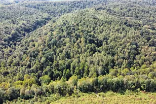 Beech Fork Rd, Peebles, OH 45660 - Photo 1