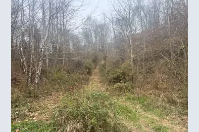 845 Back Run Road, Philo, OH 43771 - Photo 1