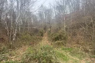 845 Back Run Rd, Philo, OH 43771 - Photo 1