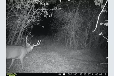 County Road 99, Warsaw, OH 43844 - Photo 1