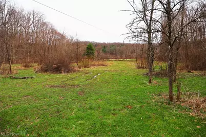 6030 Atkinson Creek Road SE, Tippecanoe, OH 44699 - Photo 1