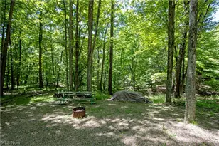 16135 Township Rd 211, Loudonville, OH 44842 - Photo 1