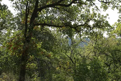 D69 Hensley Road, Gordon, TX 76453 - Photo 4