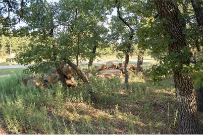 1020 Post Oak Road, Gordon, TX 76453 - Photo 10