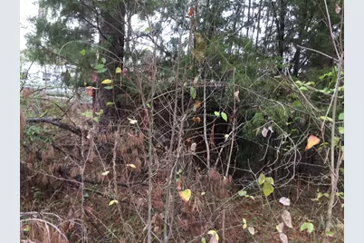 0000 Forest Hill Drive N, Frankston, TX 75763 - Photo 2