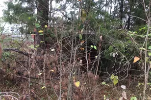 0000 Forest Hill Dr N, Frankston, TX 75763 - Photo 2