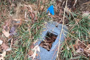 0000 Forest Hill Dr N, Frankston, TX 75763 - Photo 6