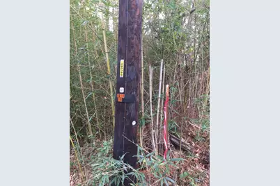 0000 Forest Hill Drive N, Frankston, TX 75763 - Photo 8