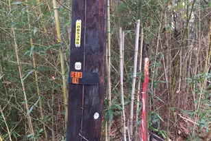 0000 Forest Hill Dr N, Frankston, TX 75763 - Photo 8