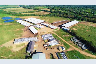 248 County Road 4310, Winnsboro, TX 75494 - Photo 8