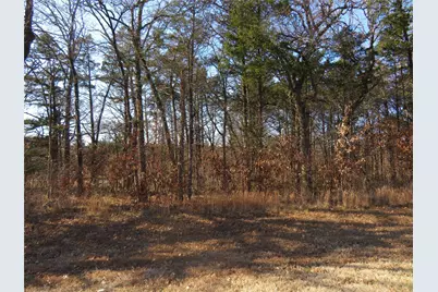 3 Annadale Lane, Gordonville, TX 76245 - Photo 2