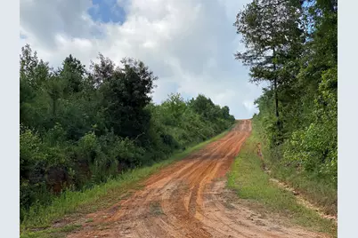Tbd County Road 394, Tatum, TX 75691 - Photo 2