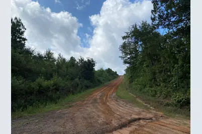 Tbd County Road 394, Tatum, TX 75691 - Photo 1