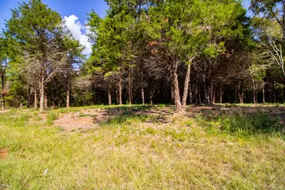 Tbd Cr 4173, Tyler, TX 75704 - Photo 2