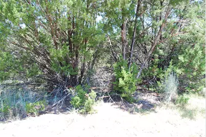 8183 Cedar Crest Drive, Whitney, TX 76692 - Photo 2