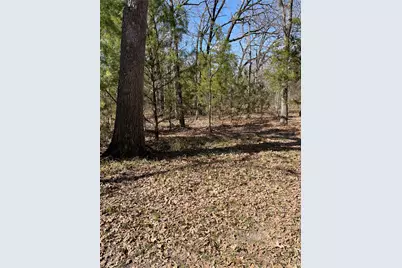 0 Double Bridge Road, Mabank, TX 75156 - Photo 1
