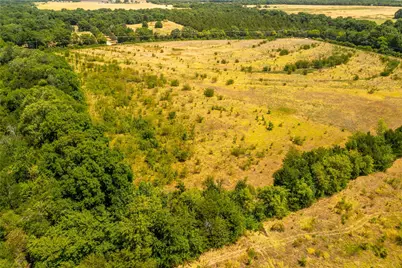 Tbd 37+/- Tract 1 County Road 4526, Randolph, TX 75475 - Photo 10