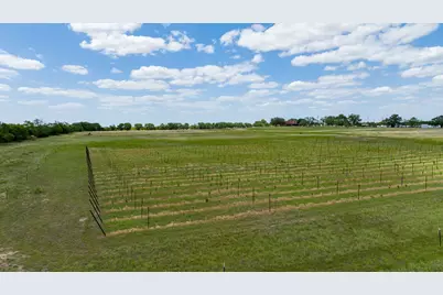 8526 N Fm 1744, Hico, TX 76457 - Photo 14