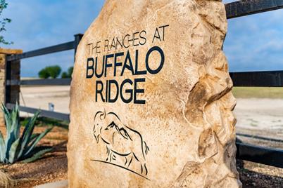6604 Buffalo Ridge Circle - Photo 1