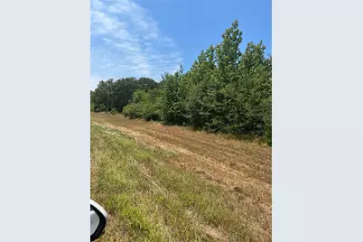 000 Fm 3042, Pittsburg, TX 75686 - Photo 2