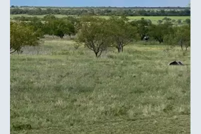 2565 County Road 617, Hamilton, TX 76531 - Photo 8