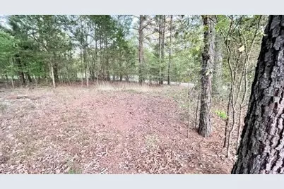 Lot 149 Navasota, Mount Vernon, TX 75457 - Photo 2
