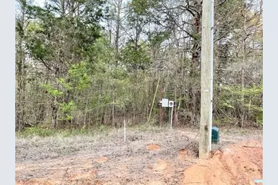 Lot 149 Navasota, Mount Vernon, TX 75457 - Photo 1
